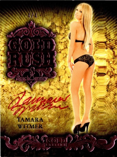 Bench warmer gold edition - warmer,